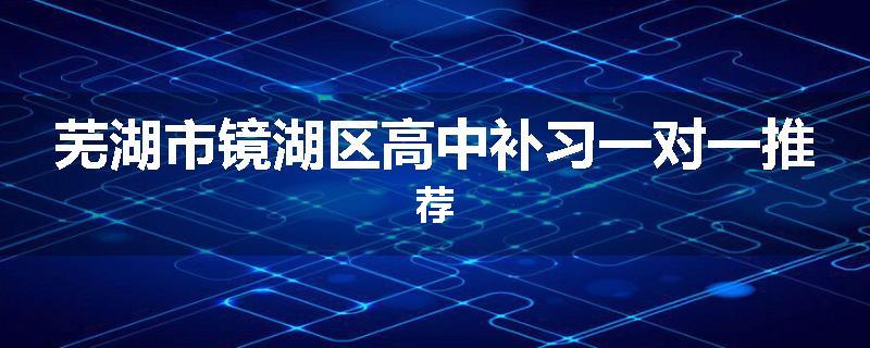 芜湖市镜湖区高中补习一对一推荐