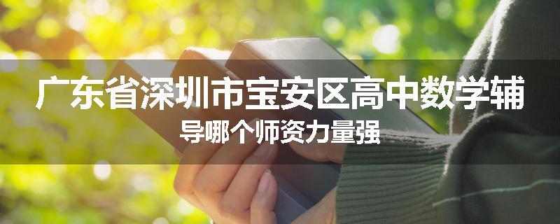 广东省深圳市宝安区高中数学辅导哪个师资力量强