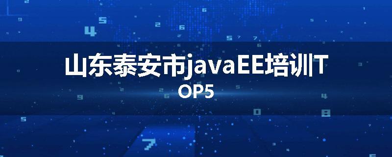 山东泰安市javaEE培训TOP5