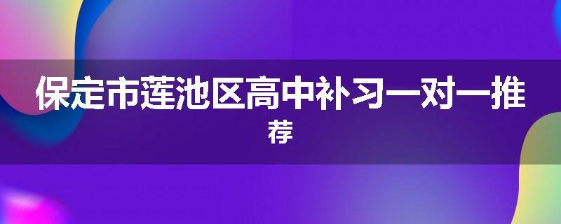 保定市莲池区高中补习一对一推荐
