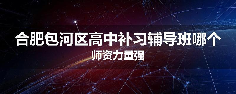 合肥包河区高中补习辅导班哪个师资力量强