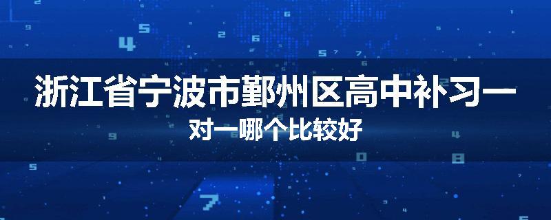 浙江省宁波市鄞州区高中补习一对一哪个比较好