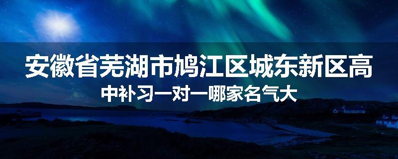 安徽省芜湖市鸠江区城东新区高中补习一对一哪家名气大