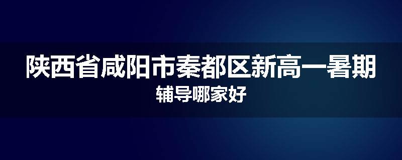 陕西省咸阳市秦都区新高一暑期辅导哪家好