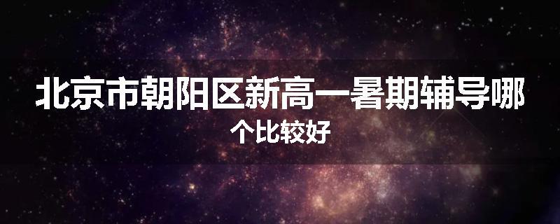 北京市朝阳区新高一暑期辅导哪个比较好