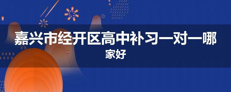 嘉兴市经开区高中补习一对一哪家好