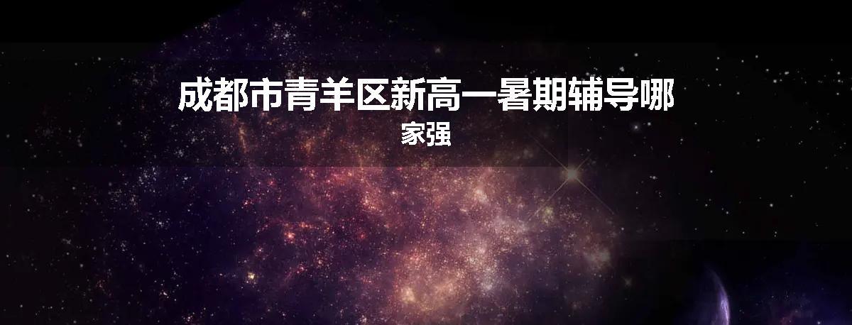 成都市青羊区新高一暑期辅导哪家强
