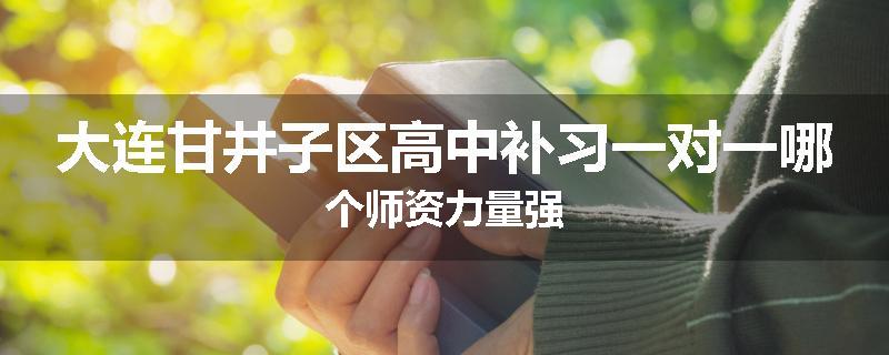 大连甘井子区高中补习一对一哪个师资力量强
