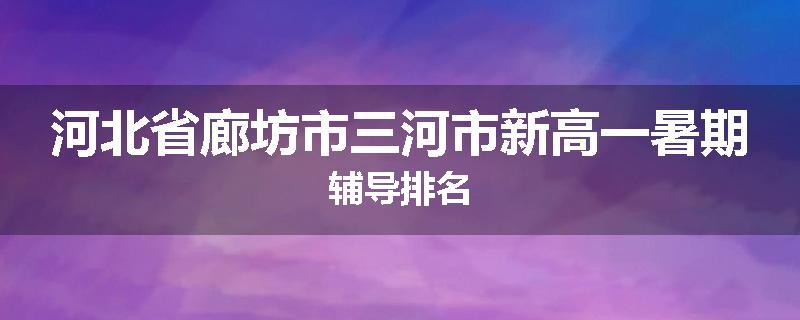 河北省廊坊市三河市新高一暑期辅导排名