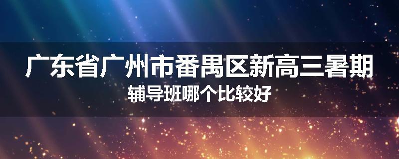 广东省广州市番禺区新高三暑期辅导班哪个比较好