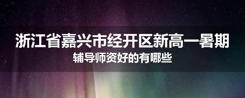 浙江省嘉兴市经开区新高一暑期辅导师资好的有哪些