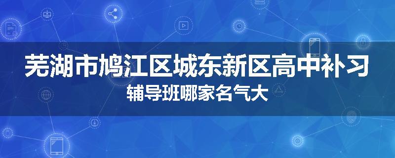 芜湖市鸠江区城东新区高中补习辅导班哪家名气大