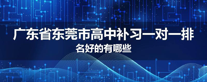 广东省东莞市高中补习一对一排名好的有哪些