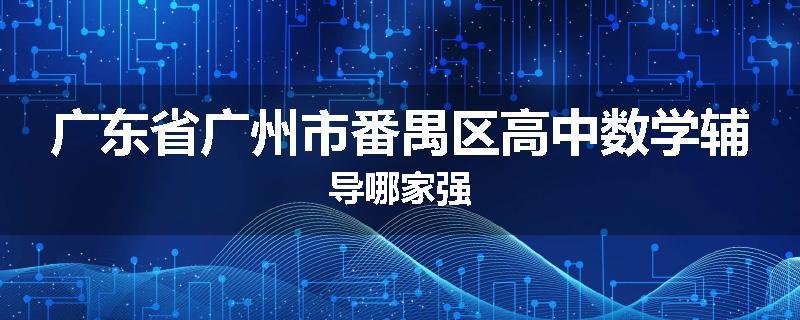 广东省广州市番禺区高中数学辅导哪家强