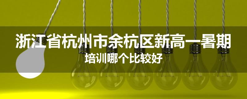 浙江省杭州市余杭区新高一暑期培训哪个比较好