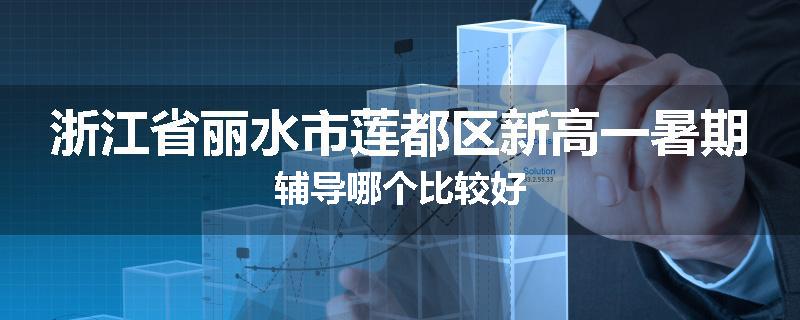 浙江省丽水市莲都区新高一暑期辅导哪个比较好