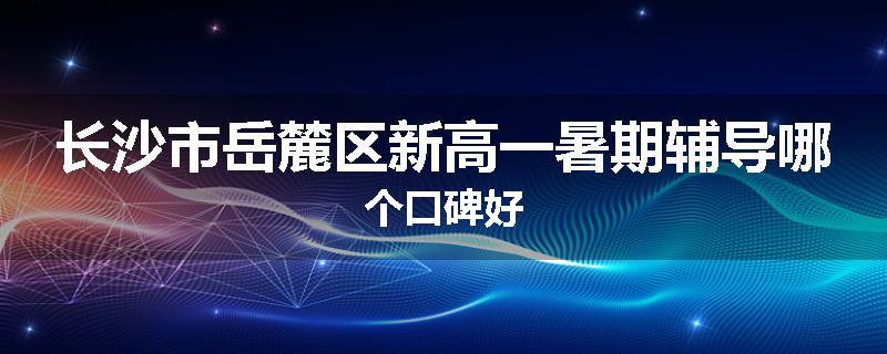 长沙市岳麓区新高一暑期辅导哪个口碑好