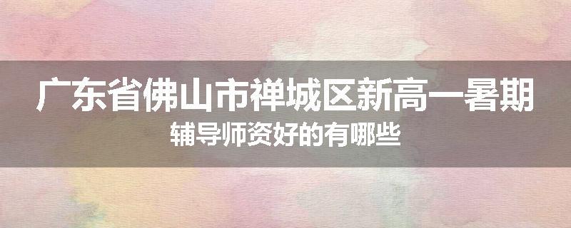 广东省佛山市禅城区新高一暑期辅导师资好的有哪些