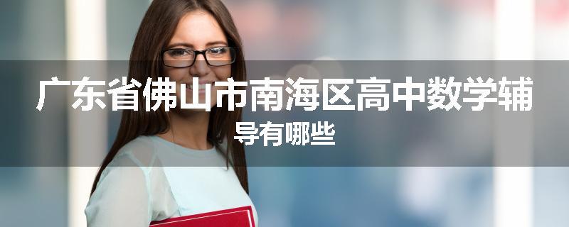 广东省佛山市南海区高中数学辅导有哪些