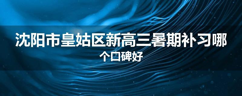 沈阳市皇姑区新高三暑期补习哪个口碑好