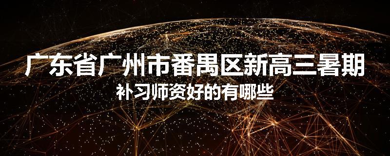 广东省广州市番禺区新高三暑期补习师资好的有哪些