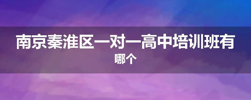 南京秦淮区一对一高中培训班有哪个