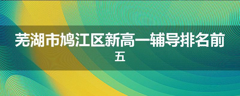 芜湖市鸠江区新高一辅导排名前五