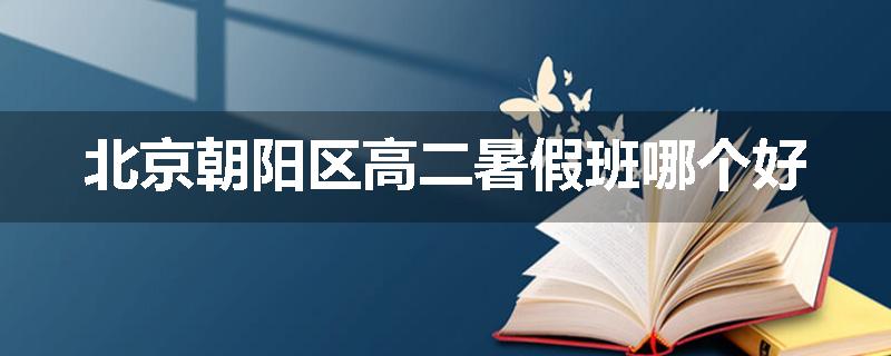 北京朝阳区高二暑假班哪个好