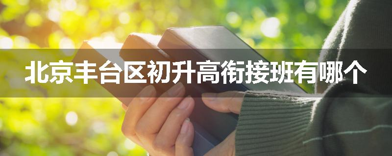 北京丰台区初升高衔接班有哪个