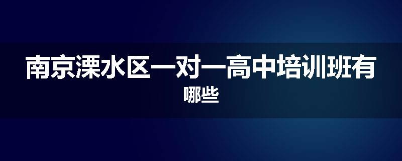 南京溧水区一对一高中培训班有哪些
