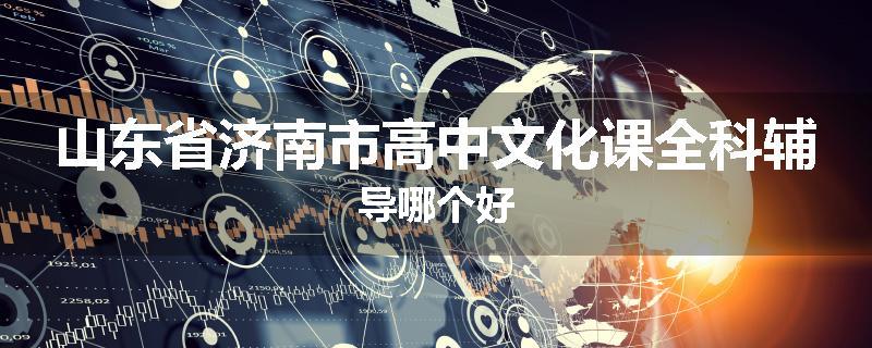 山东省济南市高中文化课全科辅导哪个好