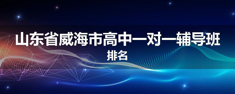 山东省威海市高中一对一辅导班排名