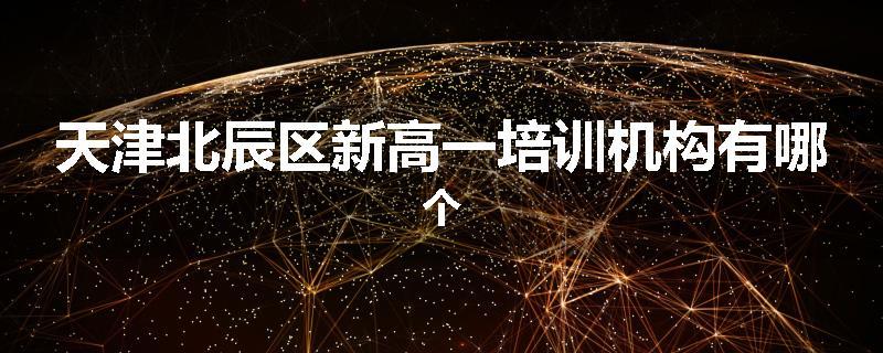 天津北辰区新高一培训机构有哪个