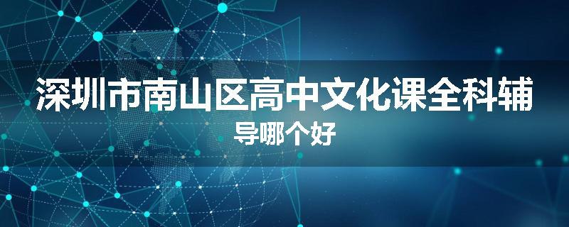 深圳市南山区高中文化课全科辅导哪个好
