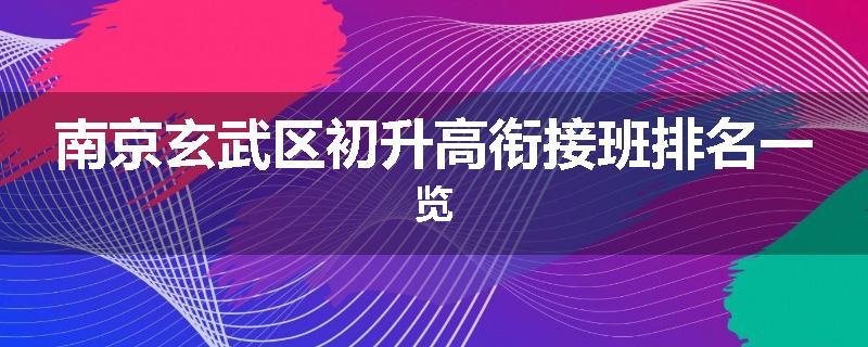 南京玄武区初升高衔接班排名一览