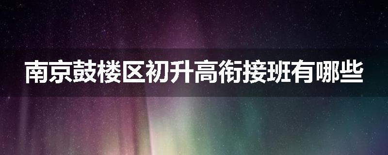 南京鼓楼区初升高衔接班有哪些