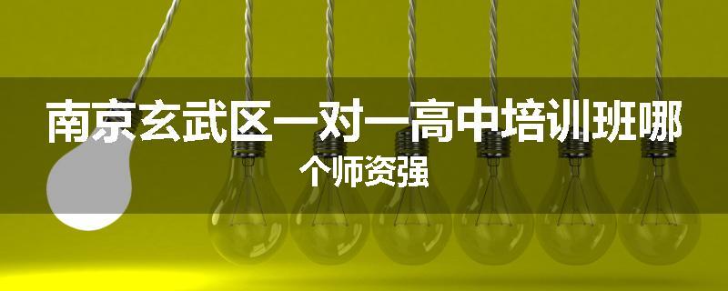 南京玄武区一对一高中培训班哪个师资强