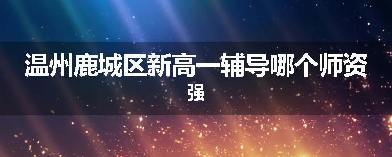 温州鹿城区新高一辅导哪个师资强