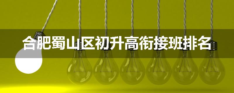 合肥蜀山区初升高衔接班排名