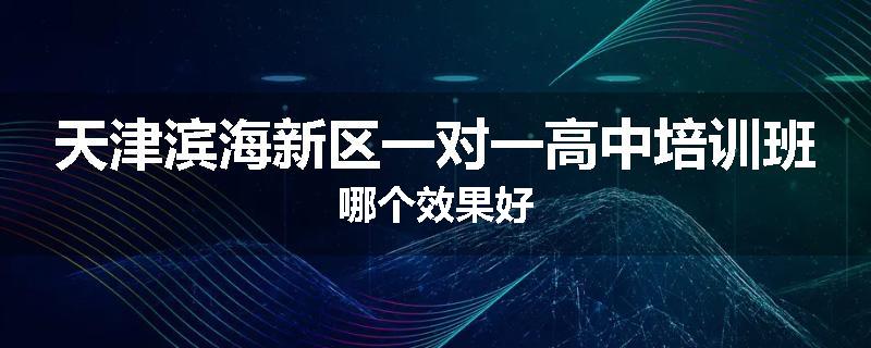 天津滨海新区一对一高中培训班哪个效果好