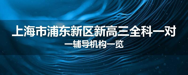 上海市浦东新区新高三全科一对一辅导机构一览