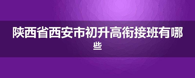 陕西省西安市初升高衔接班有哪些