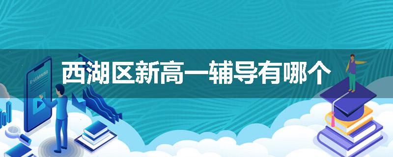 西湖区新高一辅导有哪个