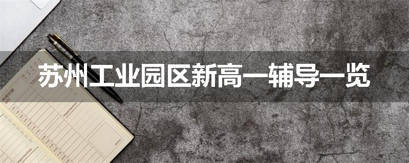 苏州工业园区新高一辅导一览