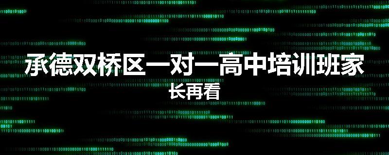 承德双桥区一对一高中培训班家长再看