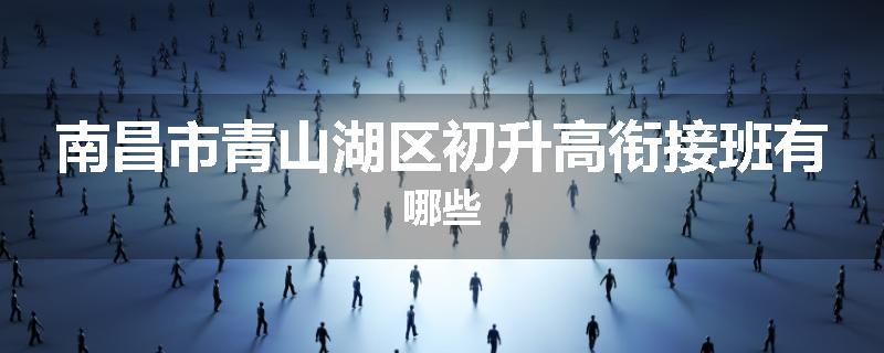南昌市青山湖区初升高衔接班有哪些