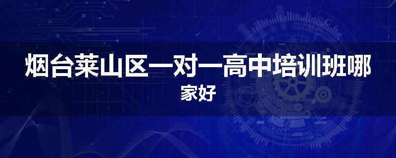 烟台莱山区一对一高中培训班哪家好