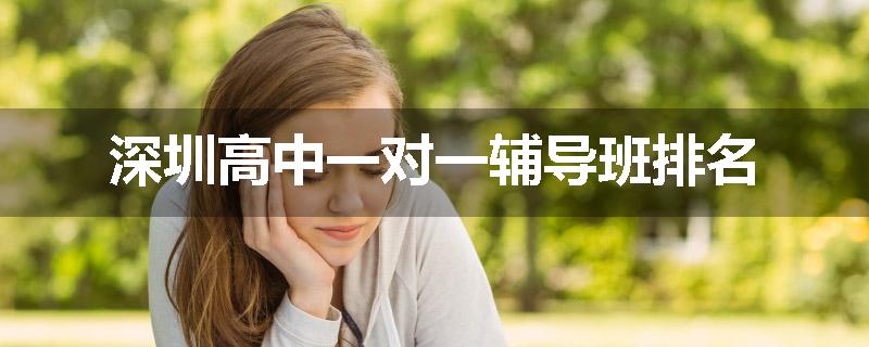 深圳高中一对一辅导班排名
