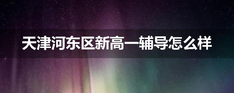 天津河东区新高一辅导怎么样
