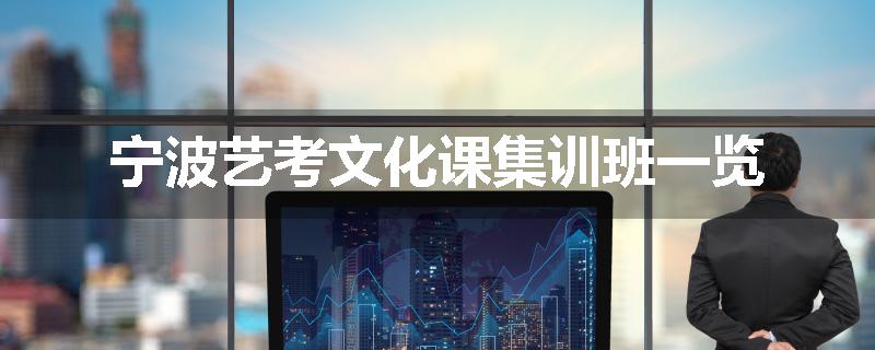宁波艺考文化课集训班一览